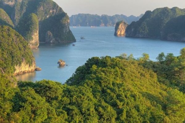 explore halong by on cruise