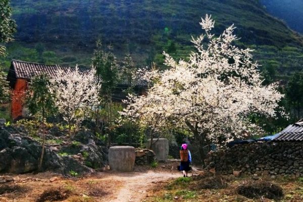 visit a sapa village