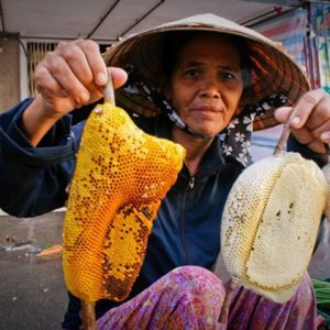 visit honeybee farm in mekong delta