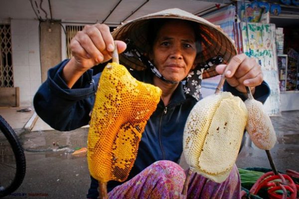 visit honeybee farm in mekong delta