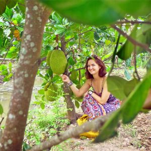 Fruit Orchards in Mekong Delta