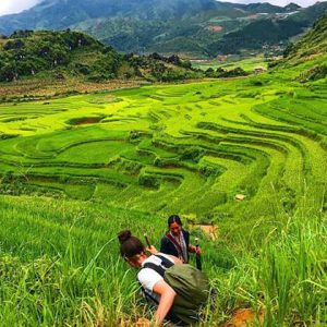 Hiking in Rice Paddies in Sapa Vietnam Holiday