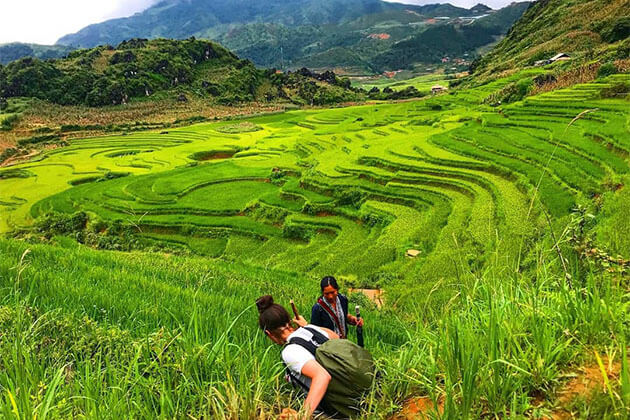 Hiking in Rice Paddies in Sapa Vietnam Holiday