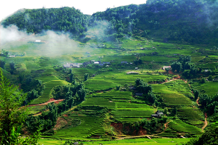 Mai Chau Valley