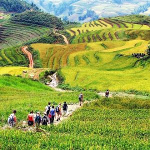 Muong Hoa Valley Sapa Holiday Package
