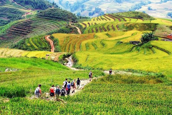 Muong Hoa Valley Sapa Holiday Package