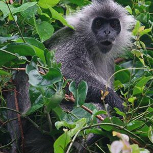 Phu Quoc National Park