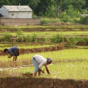 Mai Chau Adventure Package Tour