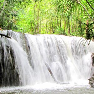 Tranh Waterfall