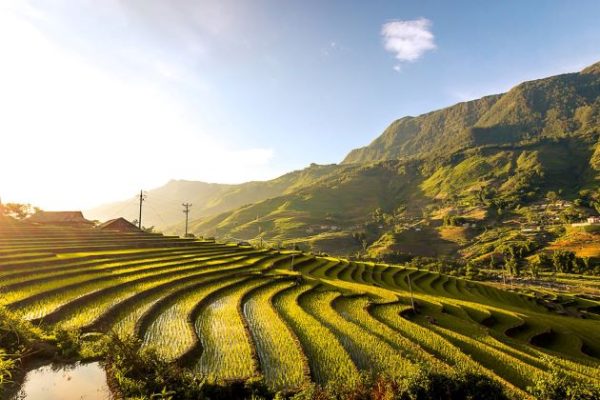 trekking in sapa