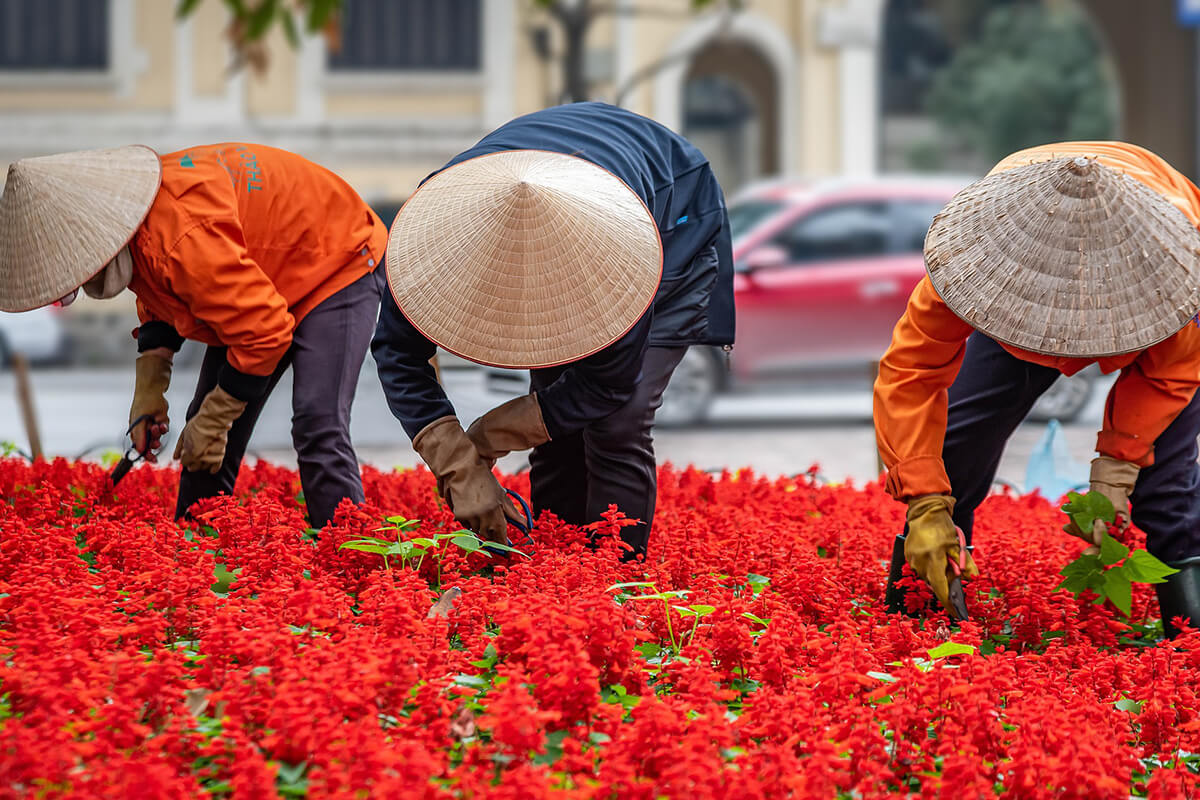 Hanoi