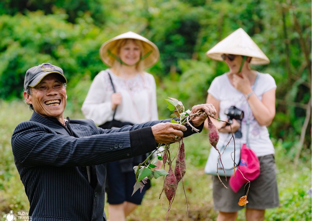 Local farmer shows sweet potatoes to tourists in conical hats
