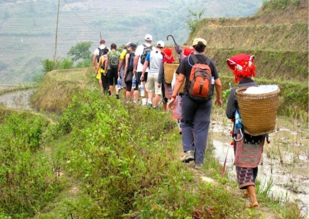 Tourists trekking with local guides on Sapa rice terraces